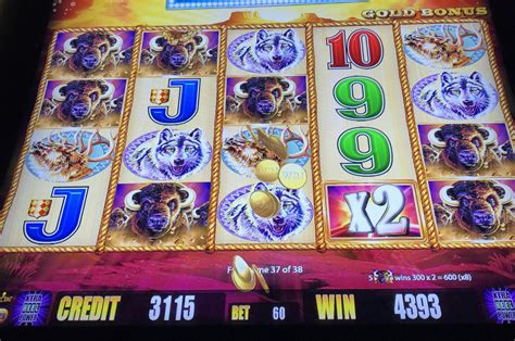 Buffalo Gold: The Perfect Sequel – Know Your Slots.